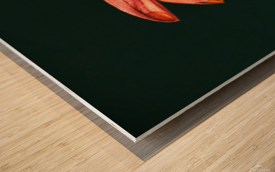 Falling For Mums Wood print