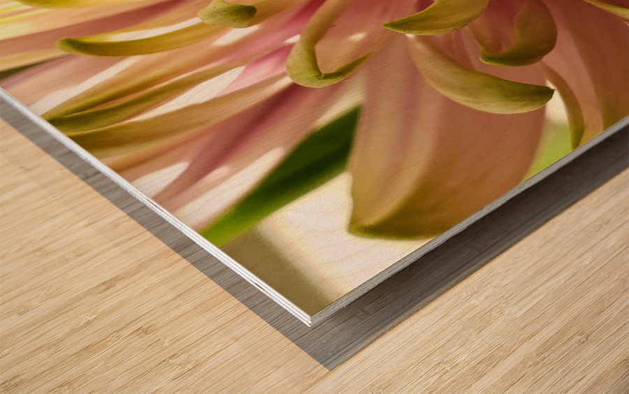 Million Dollar Mum Wood print