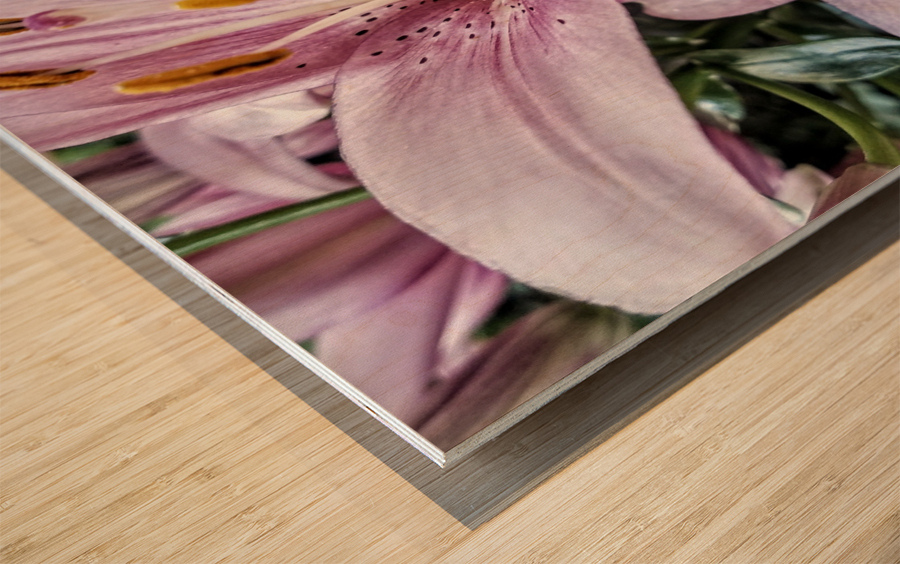 Lilies for Days Wood print