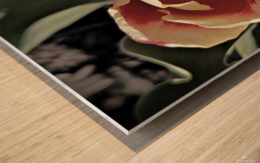 Hello Spring Tulip Wood print