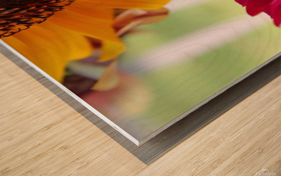 Gossiping Flowers Wood print
