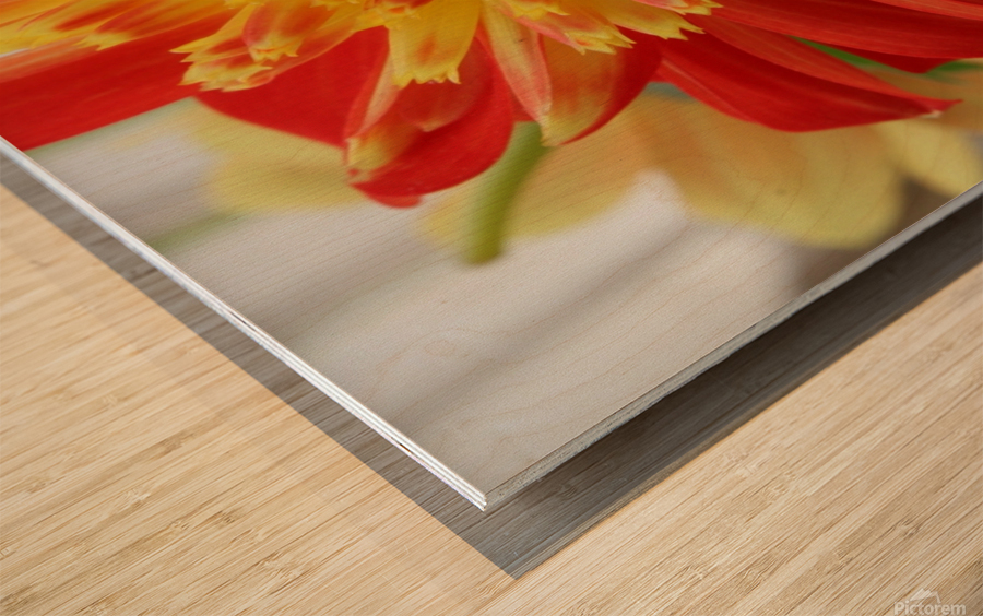 Fireball Flower Wood print