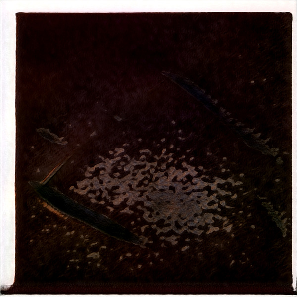 1118 8K Digital Download