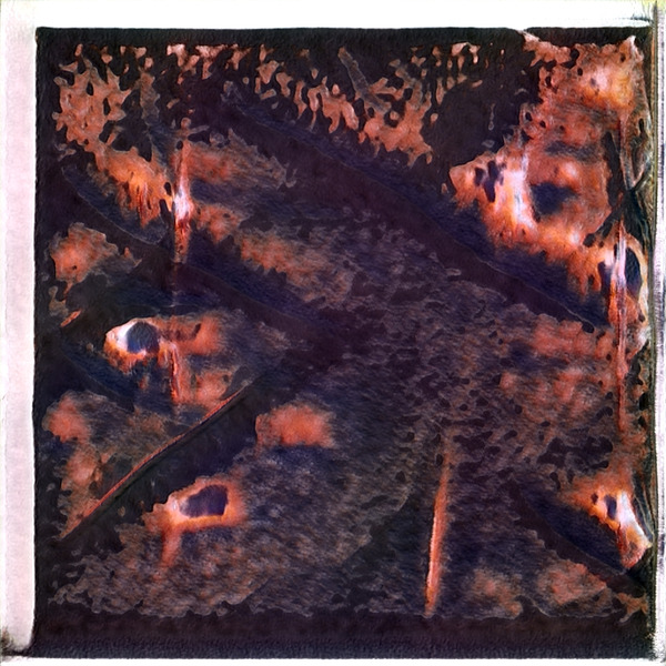 2006 8K Digital Download