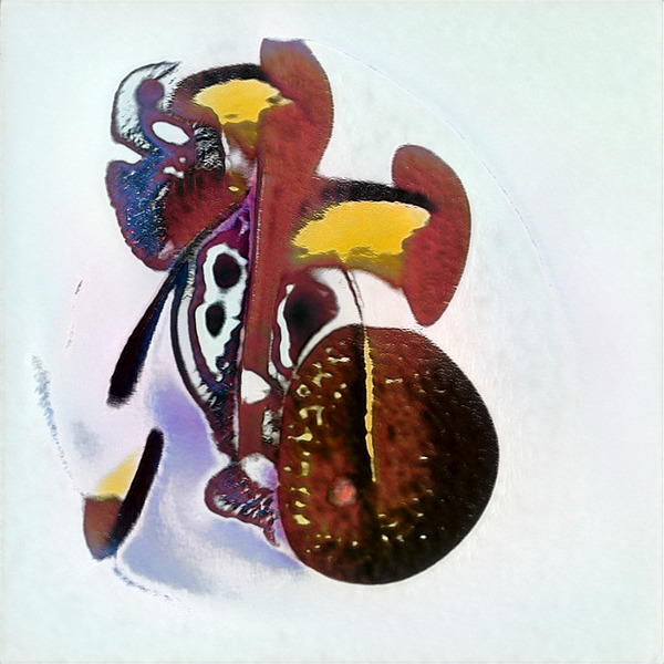 3031 8K Téléchargement Numérique