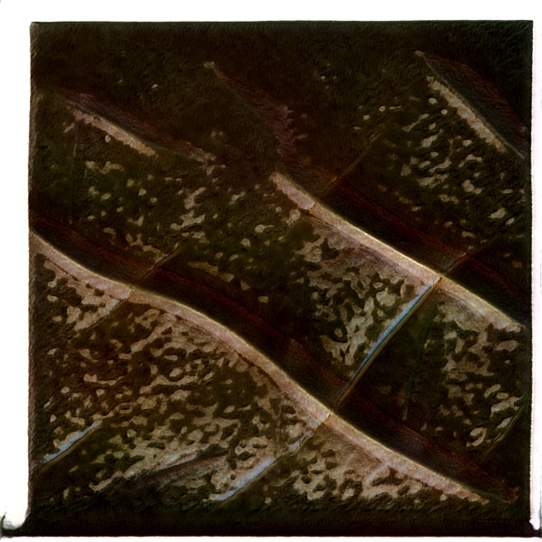 3112 8K Digital Download