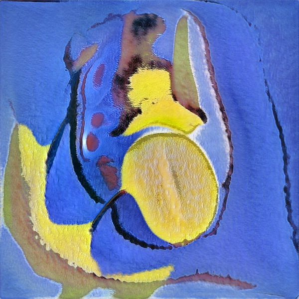 705 8K Digital Download