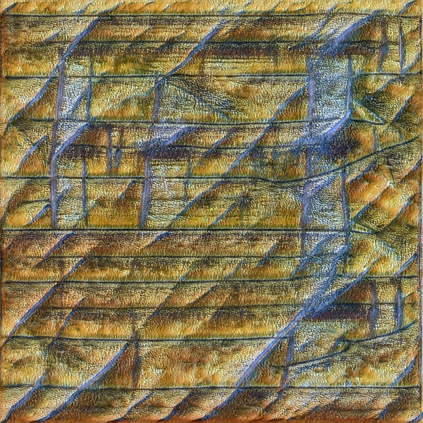 3207 8K Digital Download