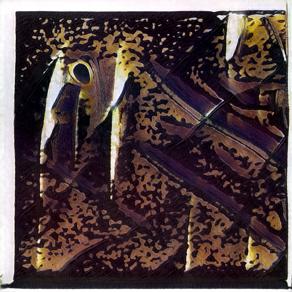 4093 8K Digital Download