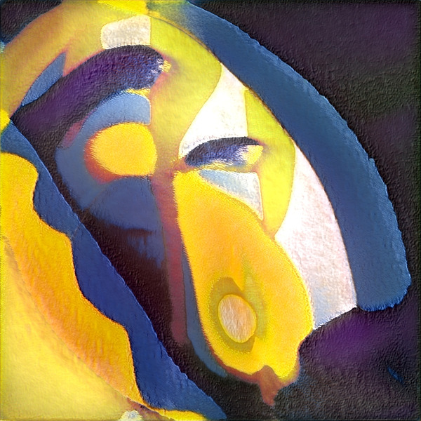 1698 8K Téléchargement Numérique