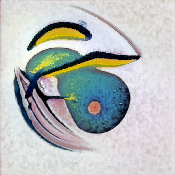 1371 8K Digital Download