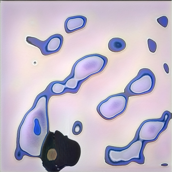 460 8K Digital Download