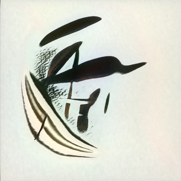 1671 8K Digital Download