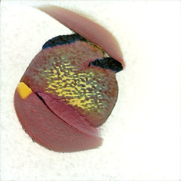 2835 8K Digital Download