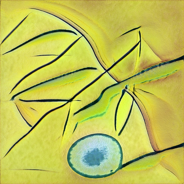 2720 8K Digital Download