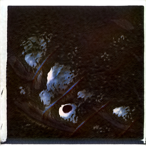 1533 8K Digital Download