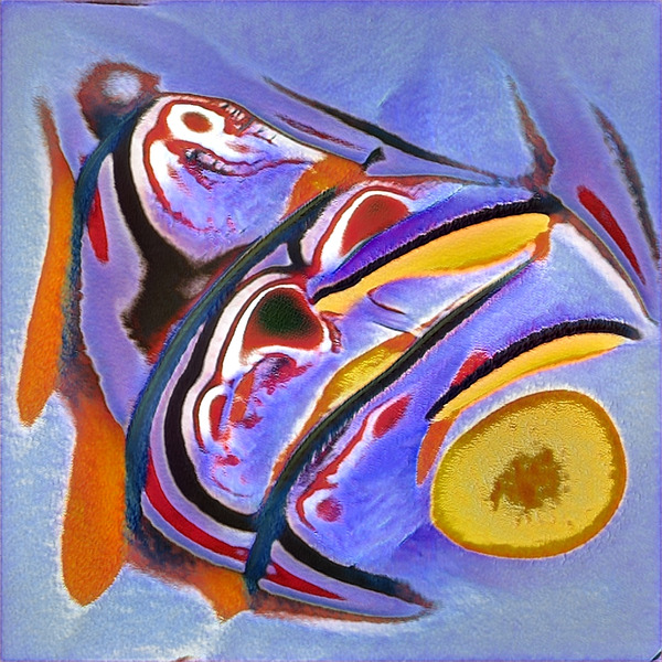 3311 8K Digital Download