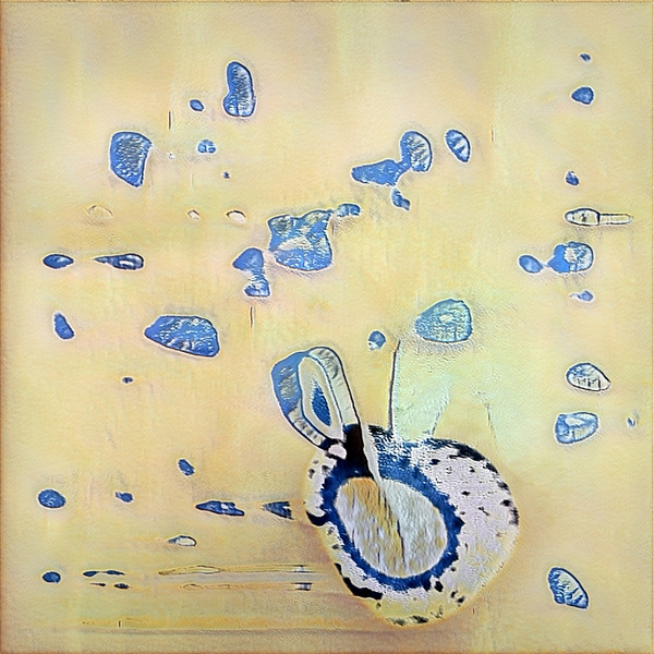 2228 8K Digital Download