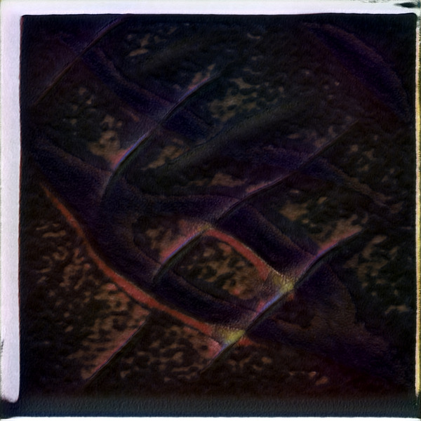 3769 8K Digital Download