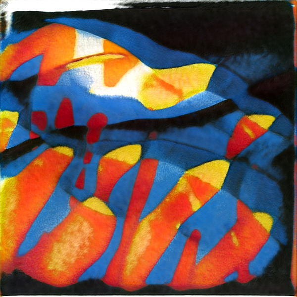 3198 8K Digital Download