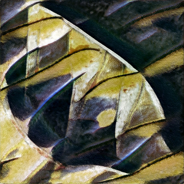 2713 8K Digital Download