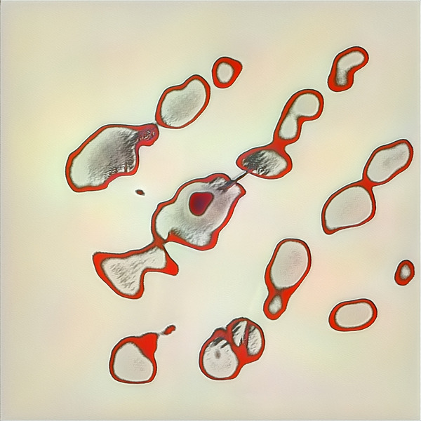 3778 8K Digital Download