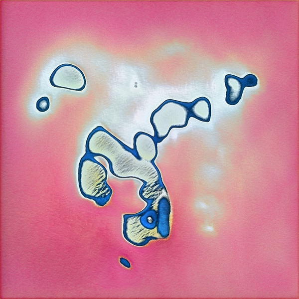 3038 8K Digital Download