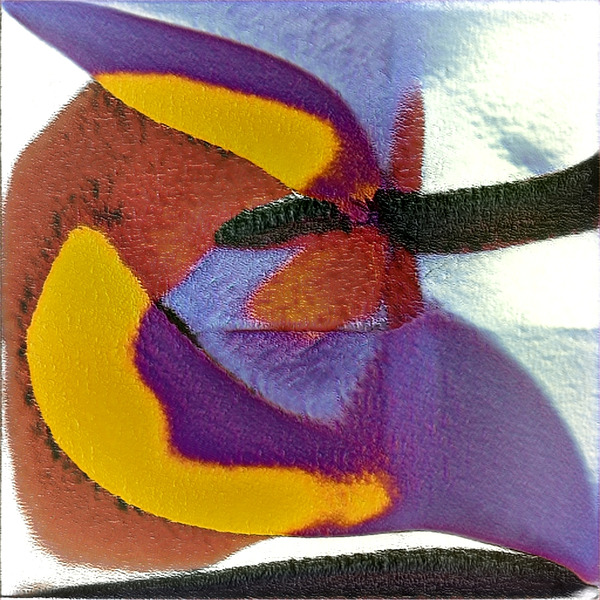 3845 8K Digital Download