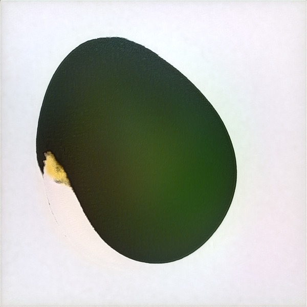 4096 8K Digital Download