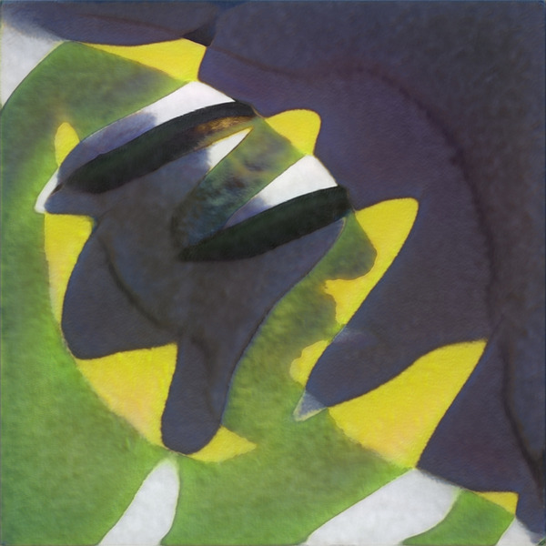 2481 8K Digital Download