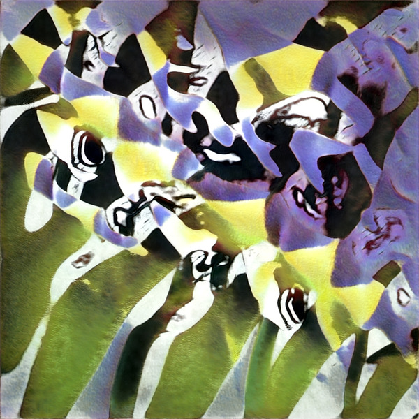 2156 8K Digital Download