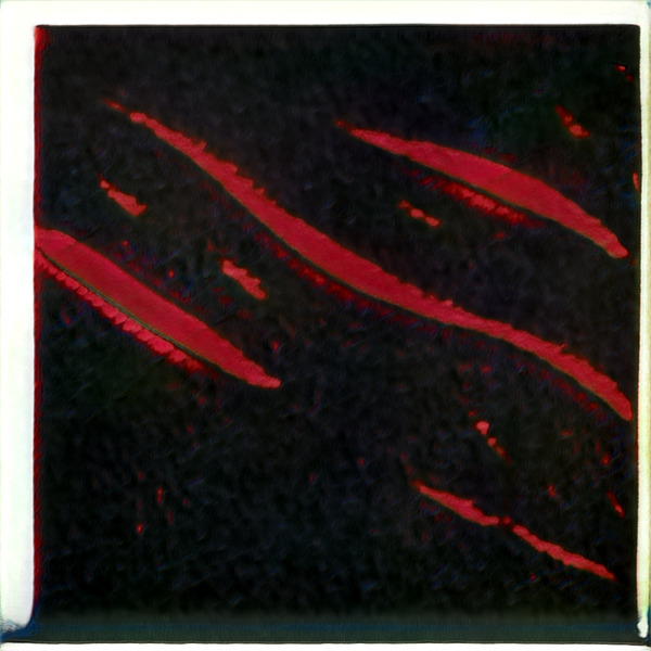 2507 8K Digital Download