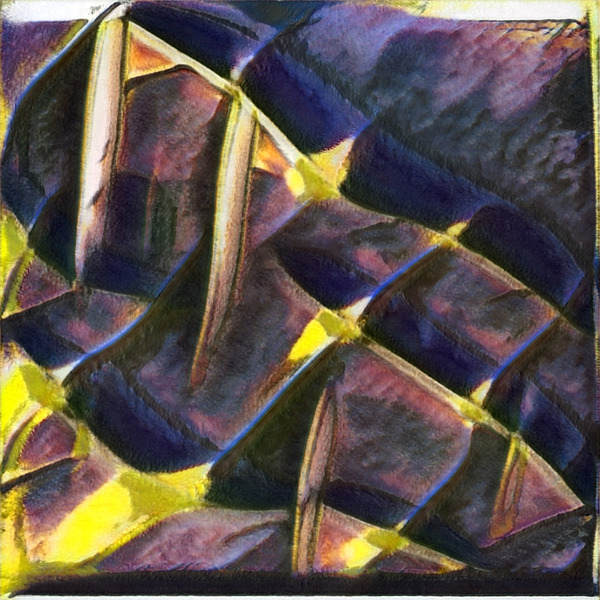 2101 8K Digital Download