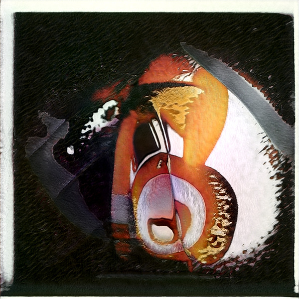 1812 8K Téléchargement Numérique