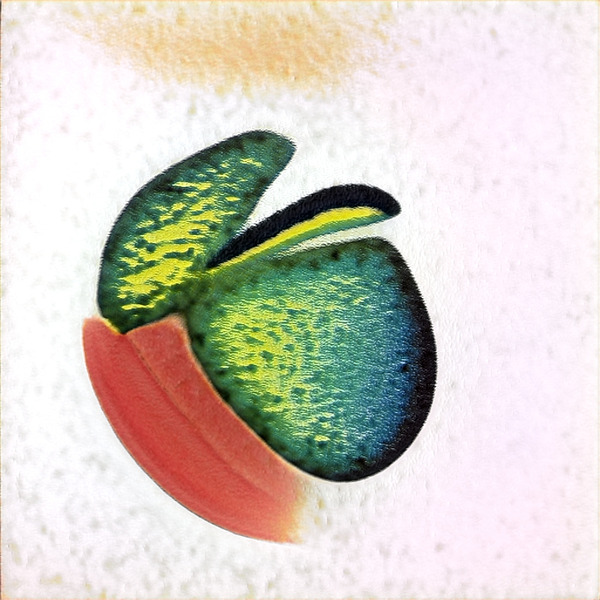 1375 8K Digital Download