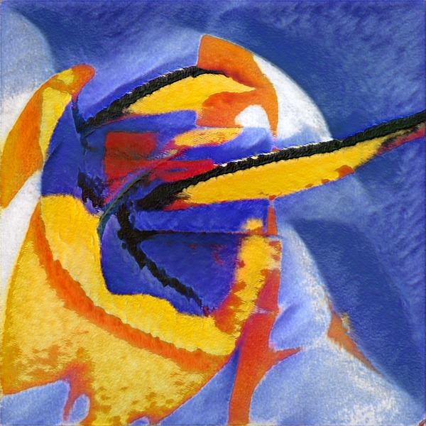 2187 8K Digital Download