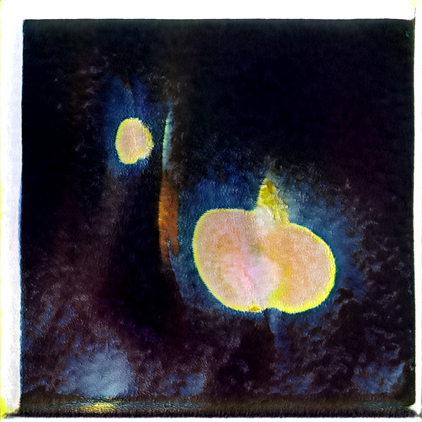 293 8K Digital Download