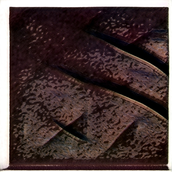 4193 8K Digital Download