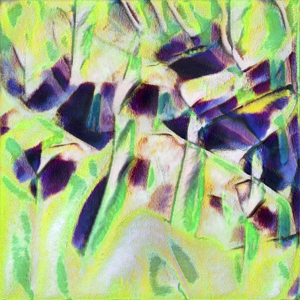 2165 8K Digital Download