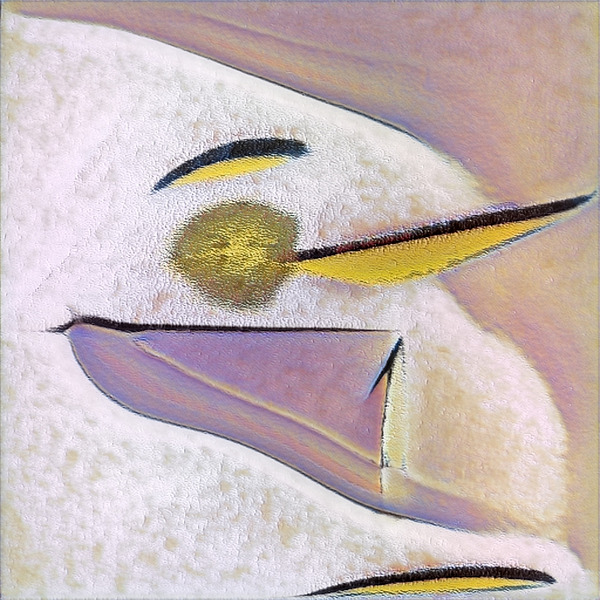 3018 8K Digital Download