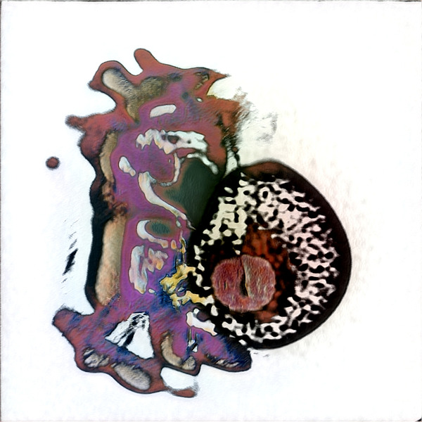 1151 8K Digital Download