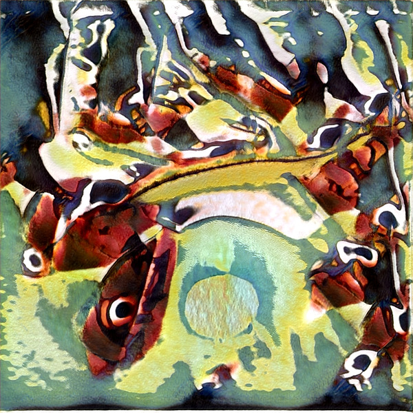 2294 8K Digital Download