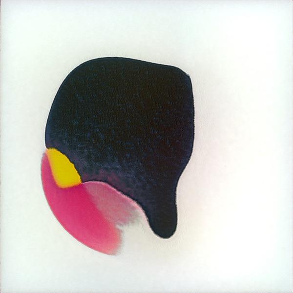 4123 8K Digital Download