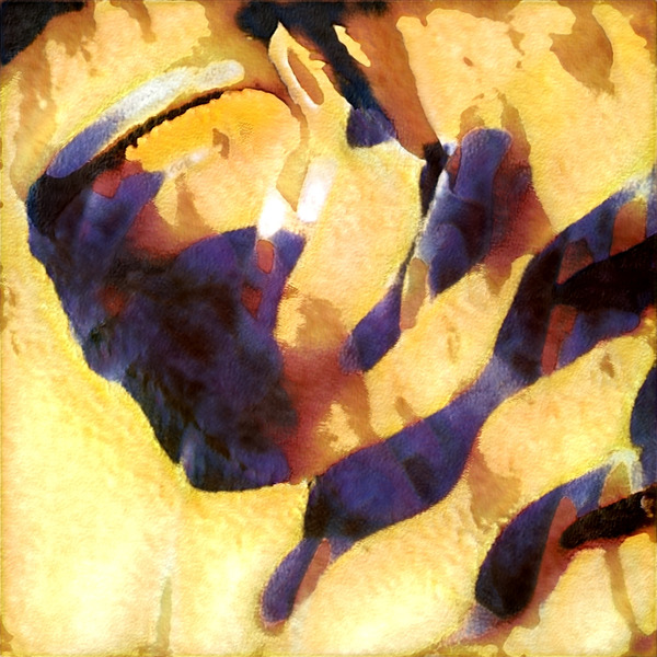 187 8K Digital Download