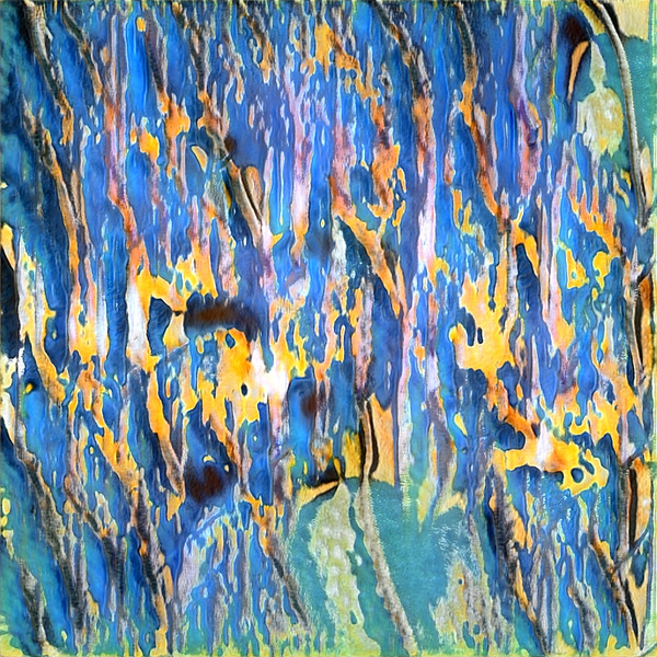 3113 8K Digital Download