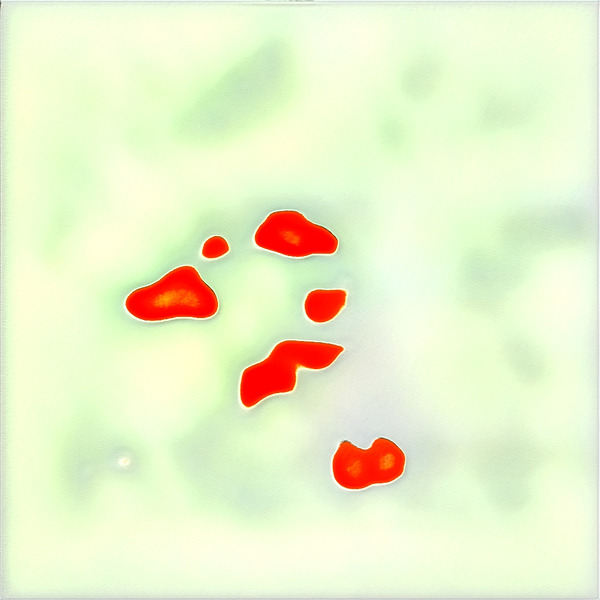 3634 8K Digital Download