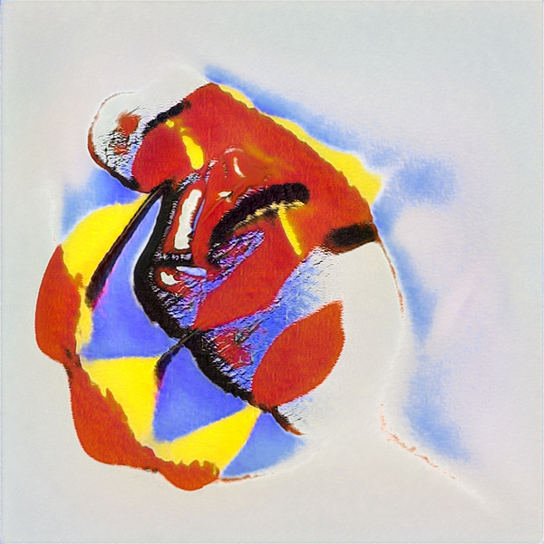 697 8K Digital Download