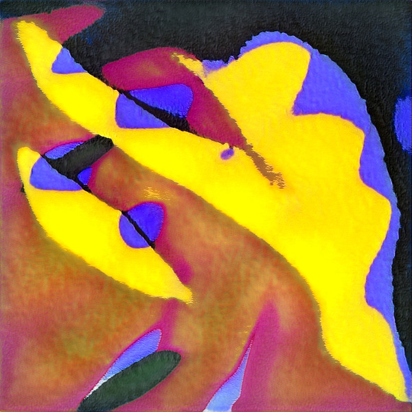 275 8K Digital Download