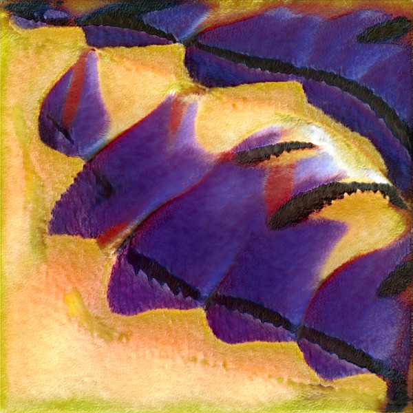 1136 8K Digital Download