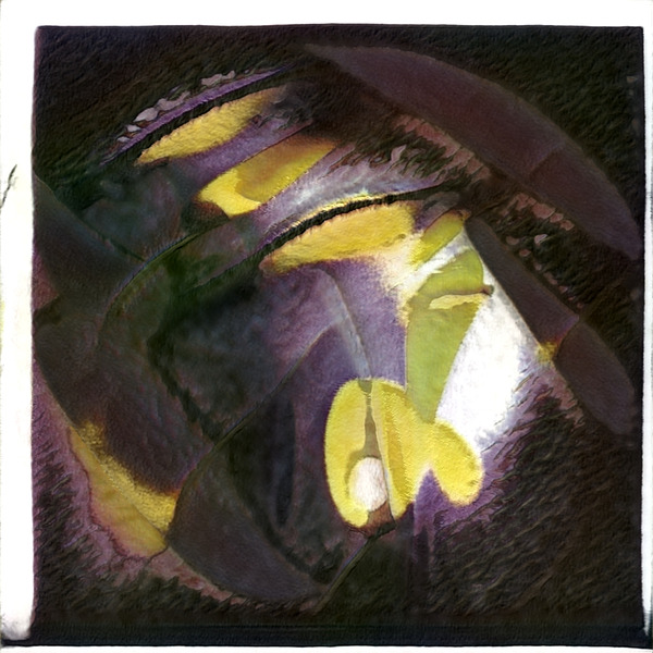 2469 8K Digital Download